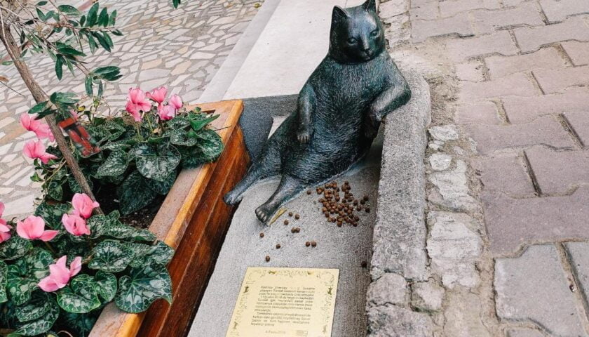 Stray Cat Statue Tribute