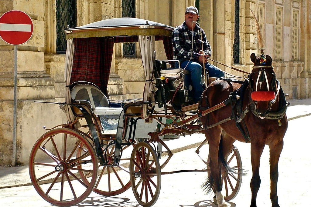 Malta horse drawn carriage