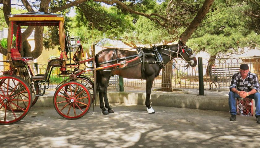 horse carriages malta
