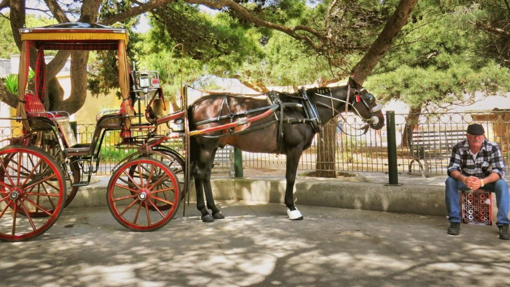 horse carriages malta