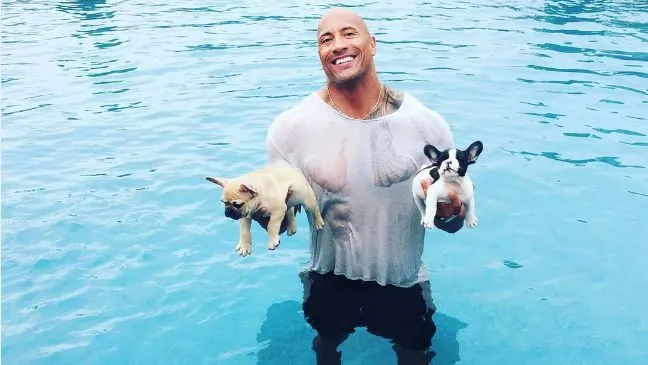 The rock with small dog
